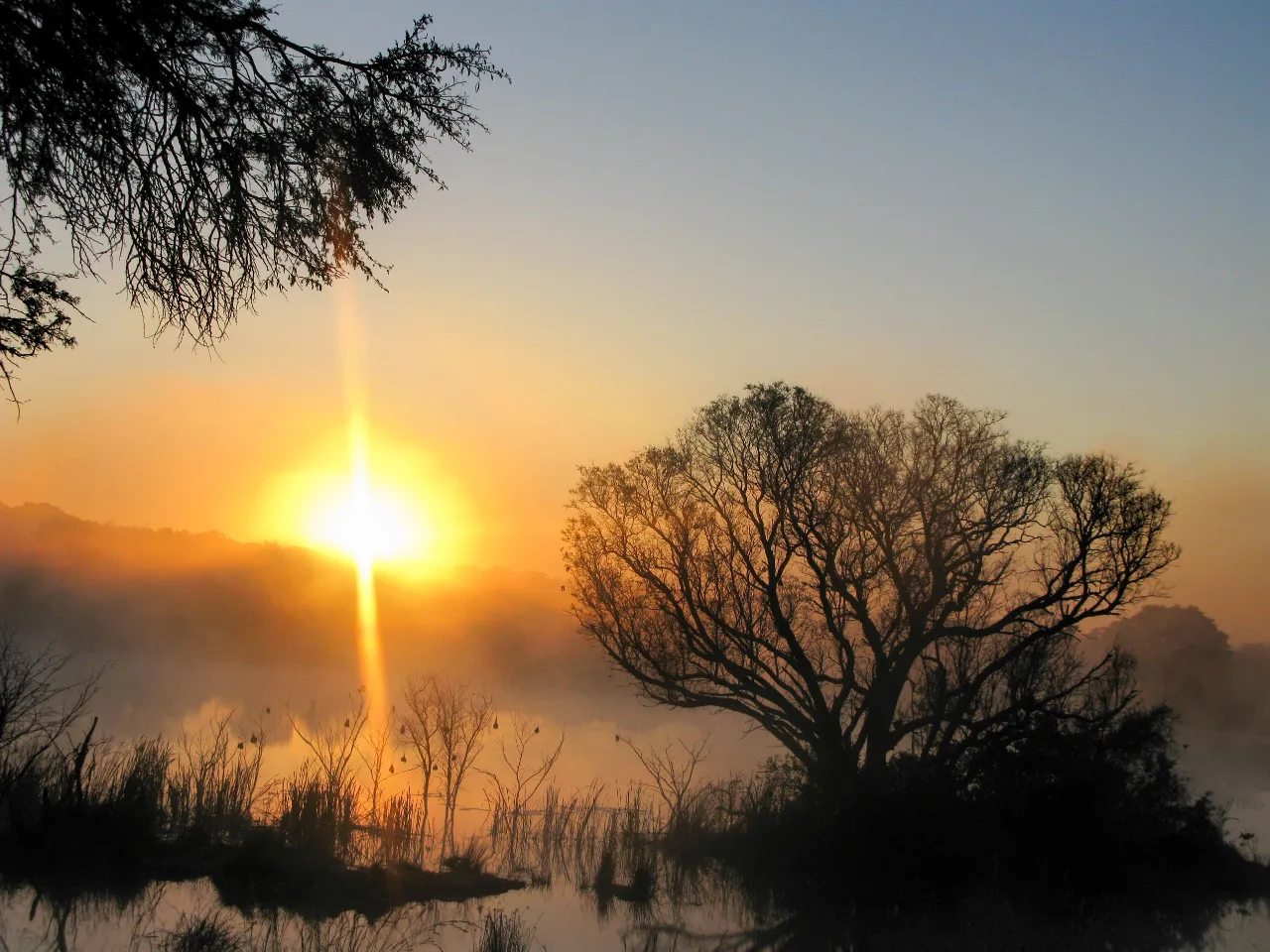 Piękna poranna atmosfera Piękna poranna atmosfera