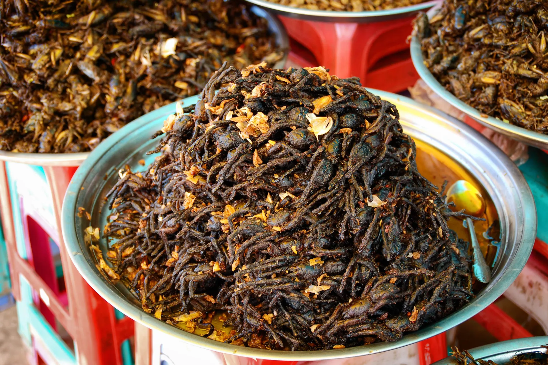 W mieście Skuon smażone pająki to specjalność W mieście Skuon smażone pająki to specjalność