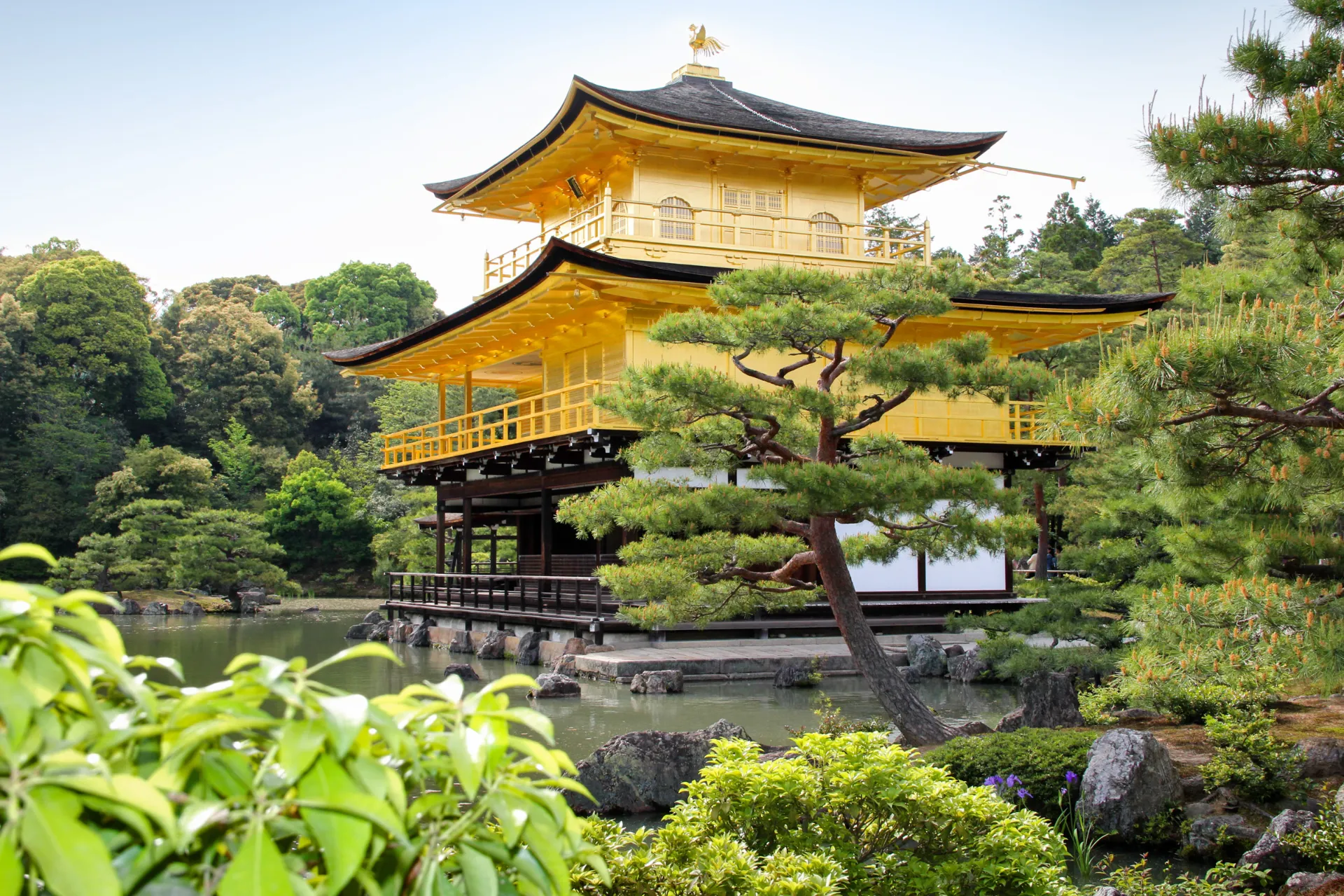 Den berömda Gyllene paviljongen i Kyoto Den berömda Gyllene paviljongen i Kyoto