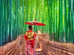 Bambusowy gaj w Kioto Bambusowy gaj w Kioto