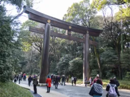 Przy największym chramie shinto w Japonii, Meiji Jingu Przy największym chramie shinto w Japonii, Meiji Jingu