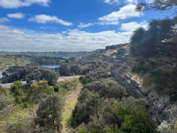 Luksusowe domy przy Manly Beach Luksusowe domy przy Manly Beach